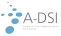 Association des directeurs de système d’information (ADSI)